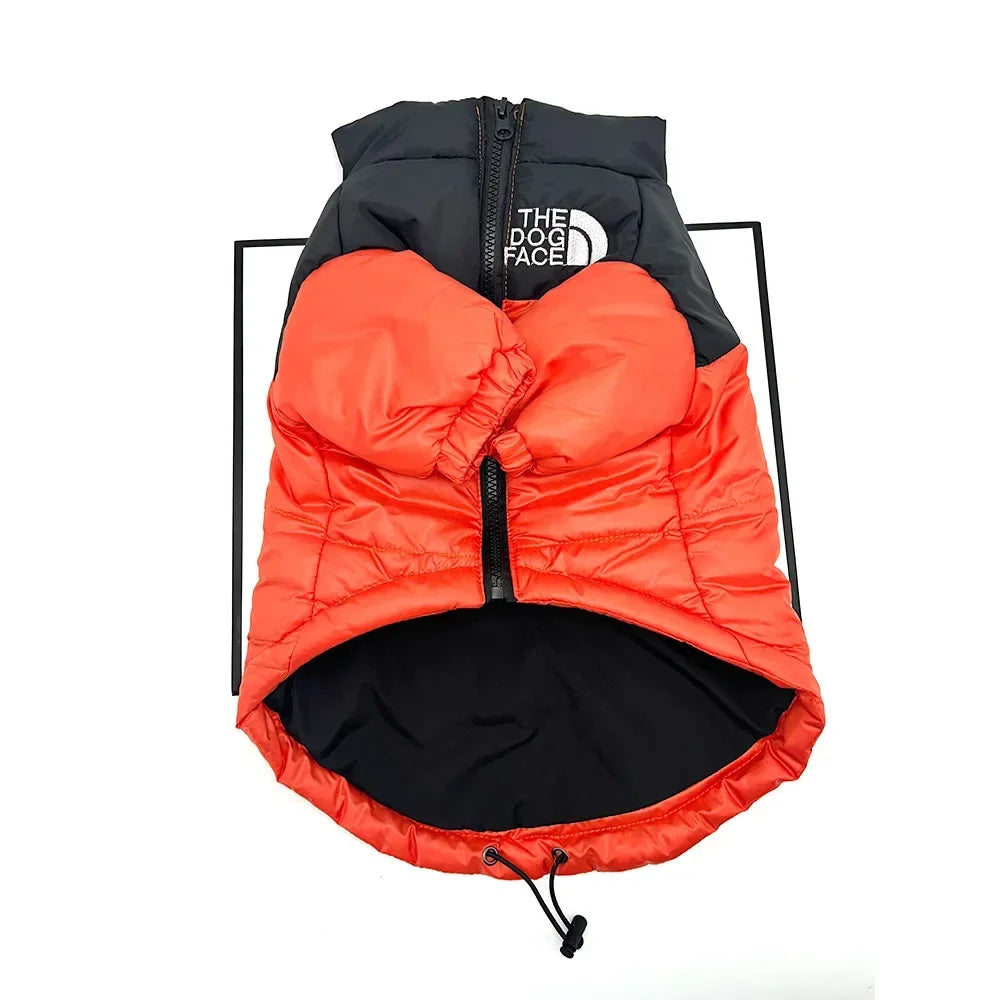 The Dog Face Winter Down Jacket