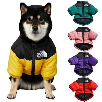 The Dog Face Winter Down Jacket